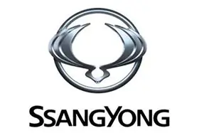 Акумулатор за SSANGYONG