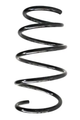 пружина за ходовата част SPIDAN              