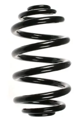 пружина за ходовата част SPIDAN              