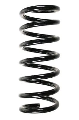 пружина за ходовата част SPIDAN              