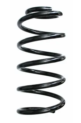 пружина за ходовата част SPIDAN              