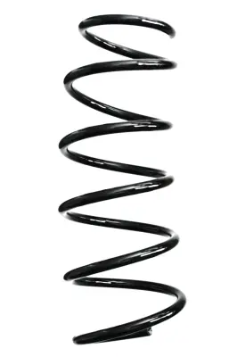 пружина за ходовата част SPIDAN              