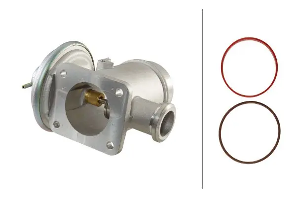 AGR-Клапан HELLA               