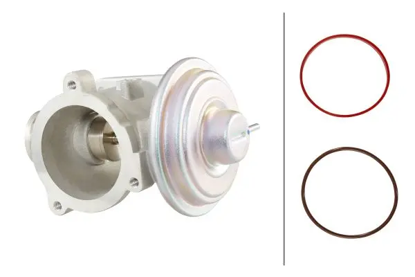 AGR-Клапан HELLA               