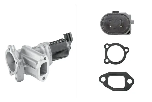 AGR-Клапан HELLA               