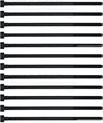 комплект болтове на капака на клап. (на цилиндровата глава) VICTOR REINZ        