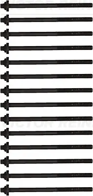 комплект болтове на капака на клап. (на цилиндровата глава) VICTOR REINZ        