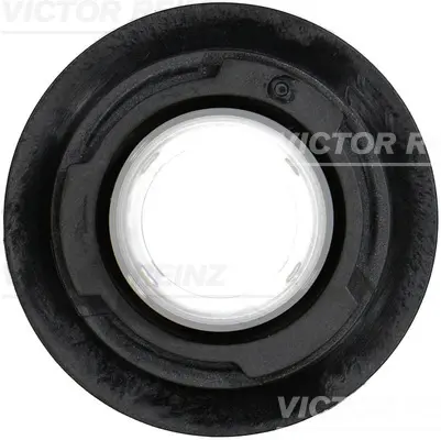 семеринг, колянов вал VICTOR REINZ        