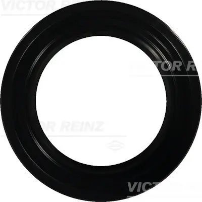 семеринг, колянов вал VICTOR REINZ        