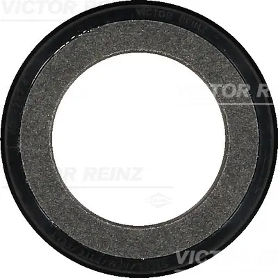 семеринг, колянов вал VICTOR REINZ        