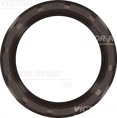 семеринг, колянов вал VICTOR REINZ        