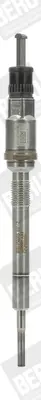 подгревна свещ BorgWarner (BERU)   