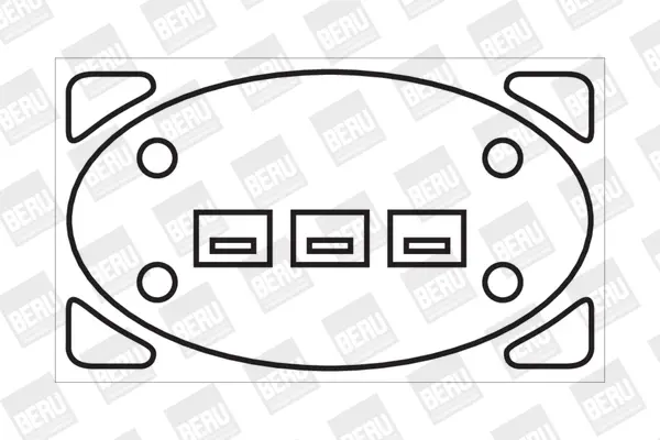 запалителна бобина BorgWarner (BERU)   