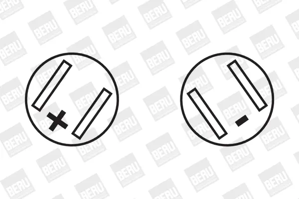 запалителна бобина BorgWarner (BERU)   