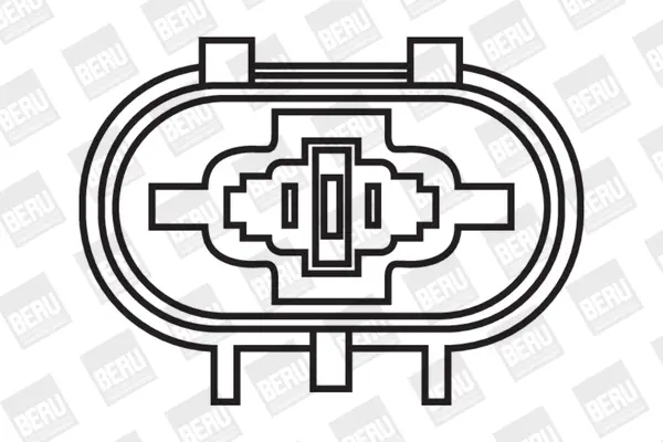запалителна бобина BorgWarner (BERU)   