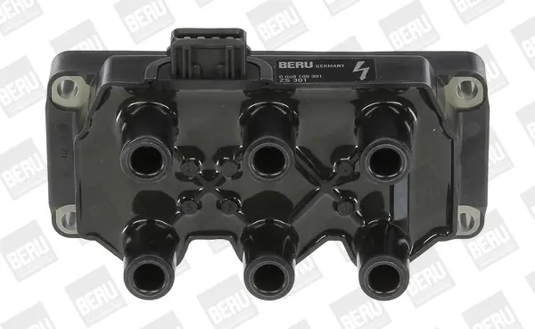 запалителна бобина BorgWarner (BERU)   