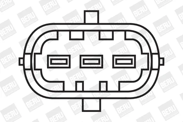 запалителна бобина BorgWarner (BERU)   