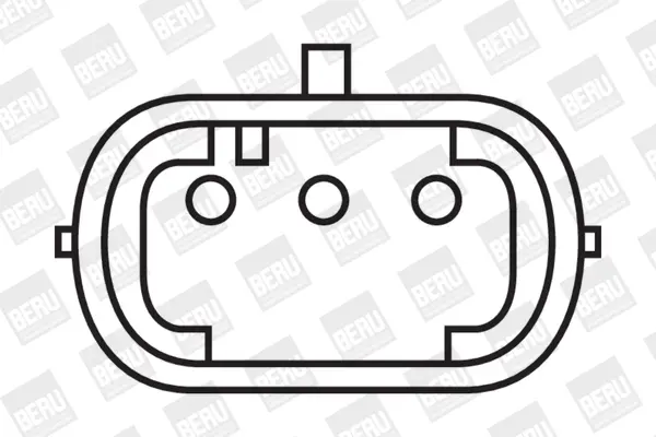 запалителна бобина BorgWarner (BERU)   