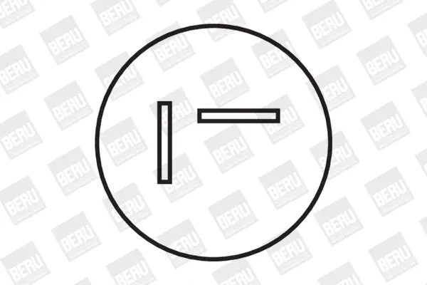 запалителна бобина BorgWarner (BERU)   