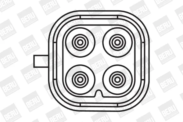 запалителна бобина BorgWarner (BERU)   