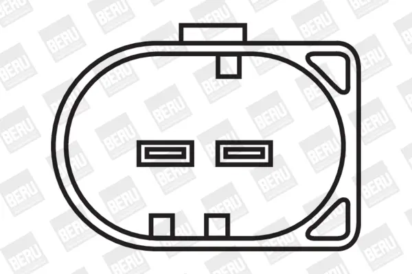 запалителна бобина BorgWarner (BERU)   