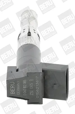 запалителна бобина BorgWarner (BERU)   