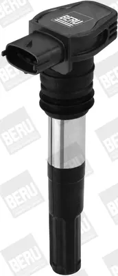 запалителна бобина BorgWarner (BERU)   