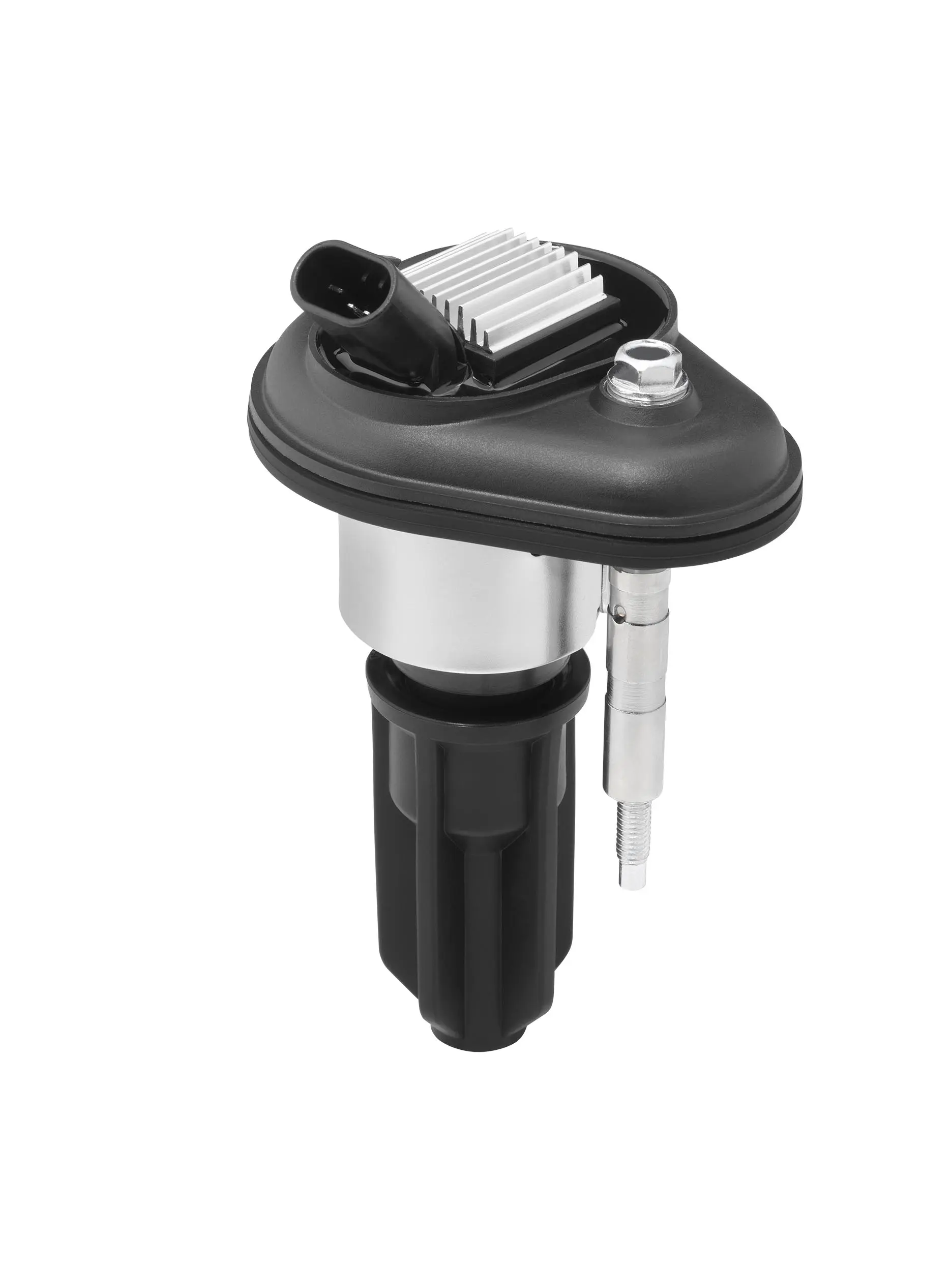 запалителна бобина BorgWarner (BERU)   