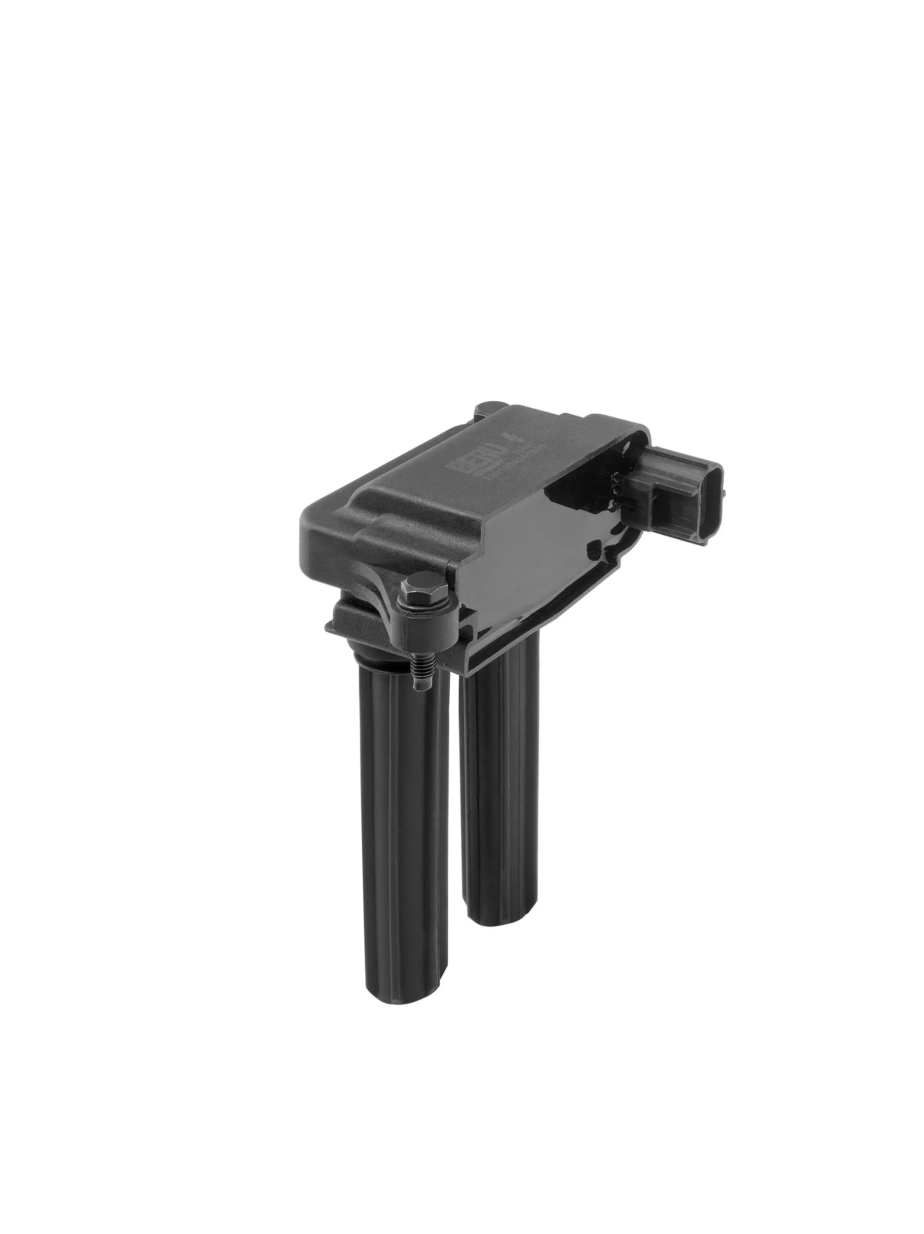 запалителна бобина BorgWarner (BERU)   