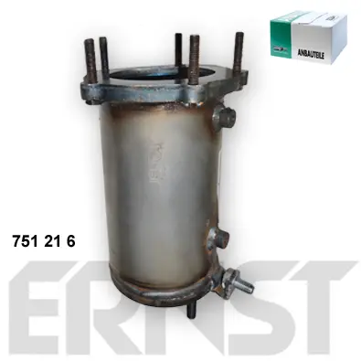 катализатор ERNST               