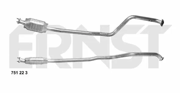 катализатор ERNST               