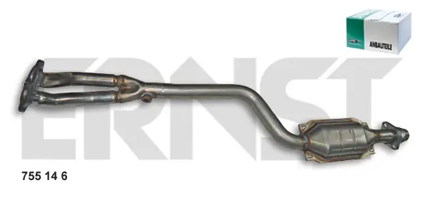 катализатор ERNST               