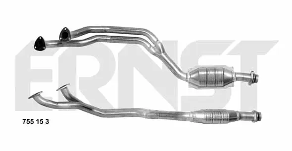 катализатор ERNST               