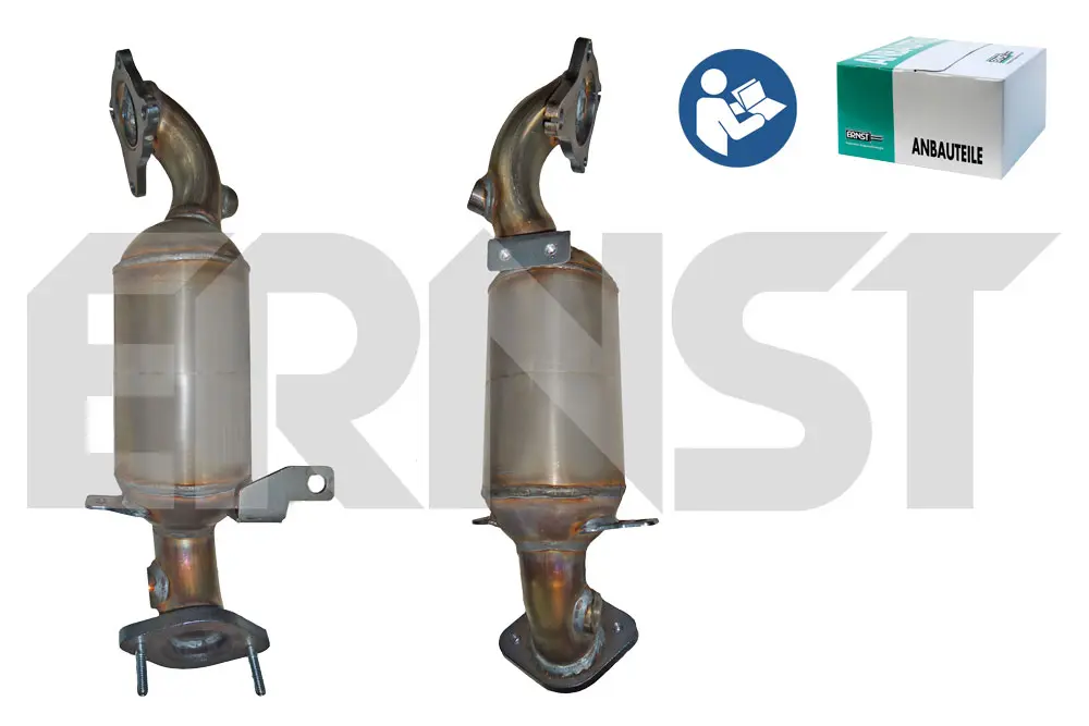 катализатор ERNST               