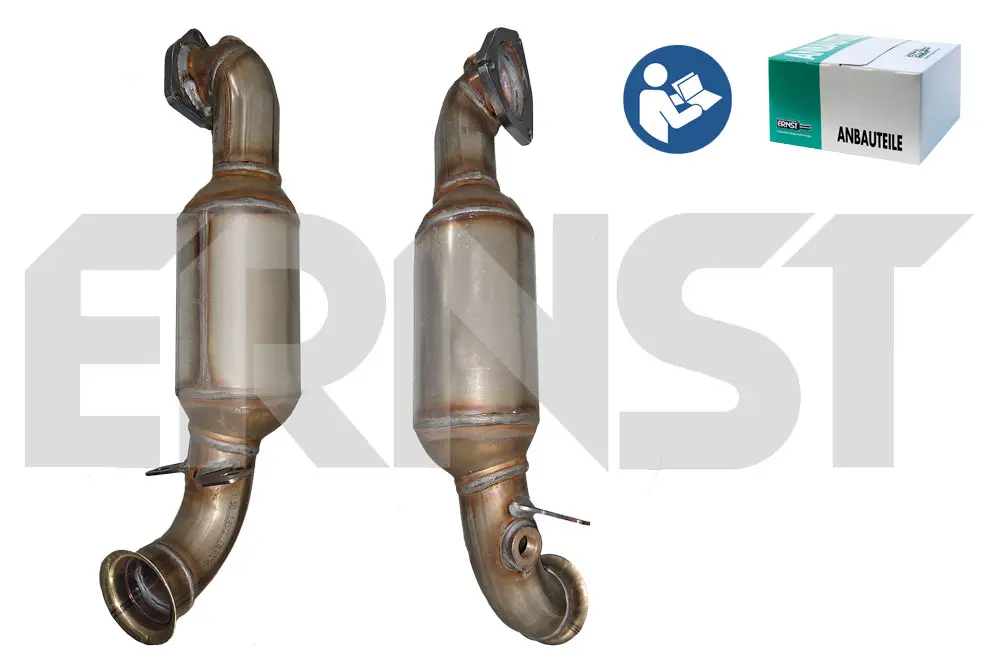 катализатор ERNST               
