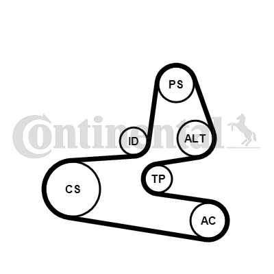 комплект пистов ремък CONTINENTAL CTAM    