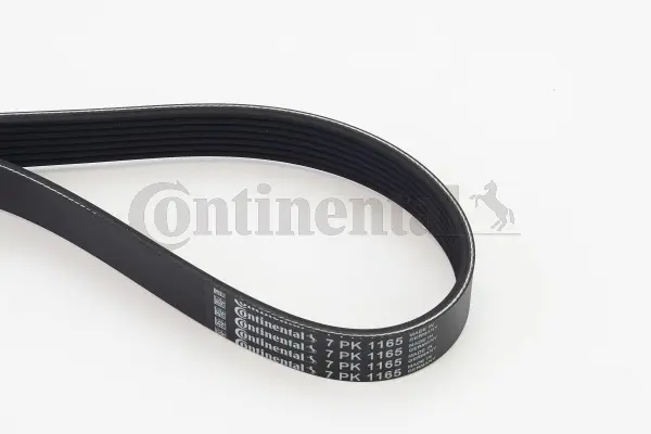 пистов ремък CONTINENTAL CTAM    