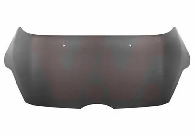 капак на двигателя VAN WEZEL           