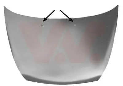 капак на двигателя VAN WEZEL           