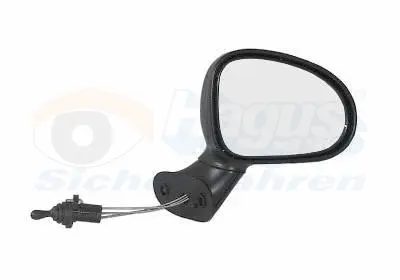 външно огледало VAN WEZEL           