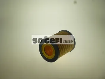 маслен филтър PURFLUX             