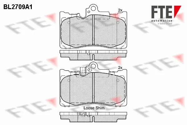 комплект спирачно феродо, дискови спирачки FTE                 