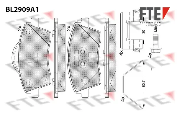 комплект спирачно феродо, дискови спирачки FTE                 