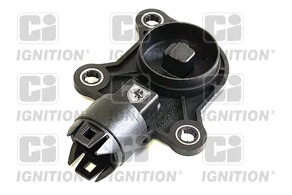 сензор, ексцентр. вал (променливо газоразпред.) QUINTON HAZELL      