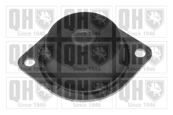 окачване, двигател QUINTON HAZELL      