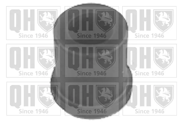 окачване, листов ресьор QUINTON HAZELL      