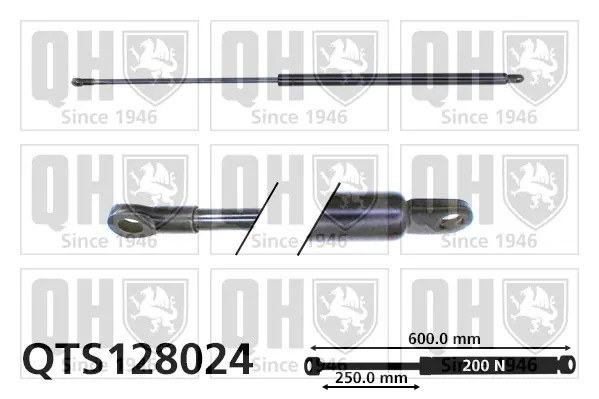 газов амортисьор, багажно-товарно пространство QUINTON HAZELL      
