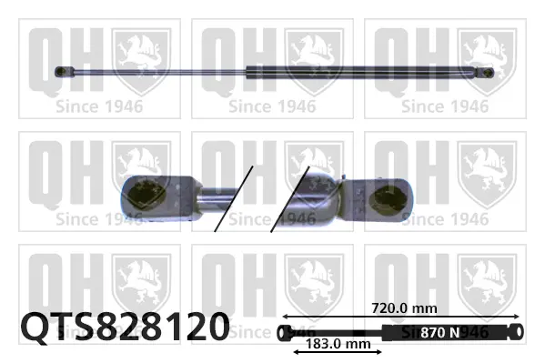 газов амортисьор, багажно/товарно пространство QUINTON HAZELL      