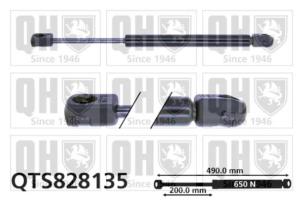 газов амортисьор, багажно/товарно пространство QUINTON HAZELL      