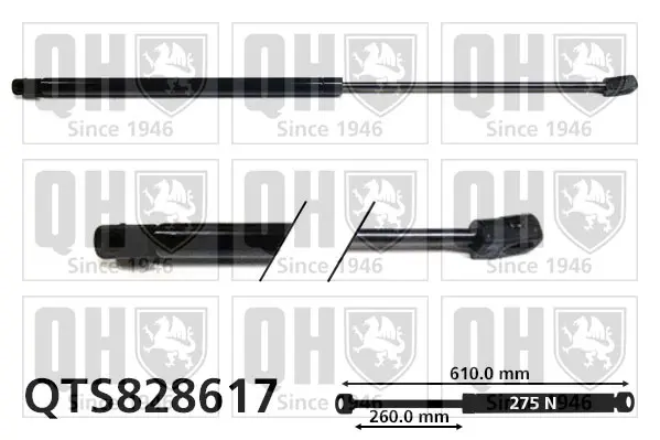 газов амортисьор, багажно-товарно пространство QUINTON HAZELL      